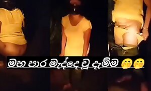 Sri lankan aunty alfresco cumswap video