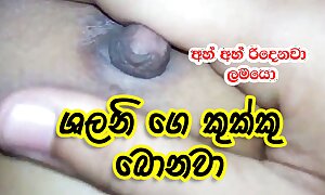 Srilankan kukku Shalani boobs engulfing and fucking asian girl sinhala
